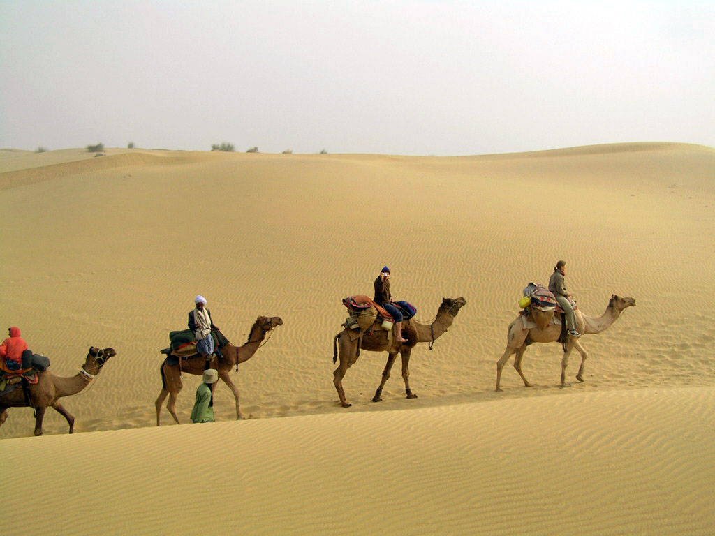 Some “Not So Popular” Treasure Troves Of Rajasthan