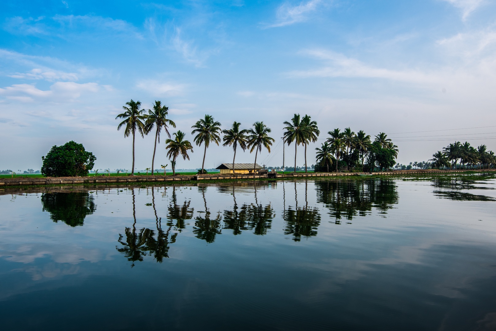 Experience The Tantalizing Aroma Of Spice & Plantations In Kerala