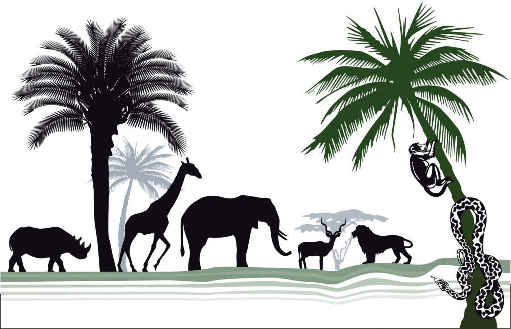 4 Significant Reasons To Save The Wildlife!